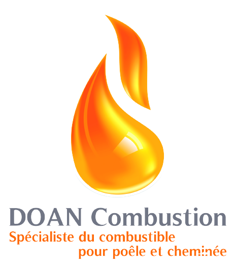 Logo_doan_combustion-removebg-preview