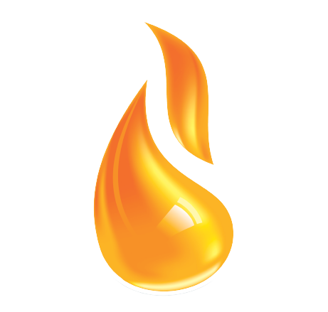 logo-doan-conbustion