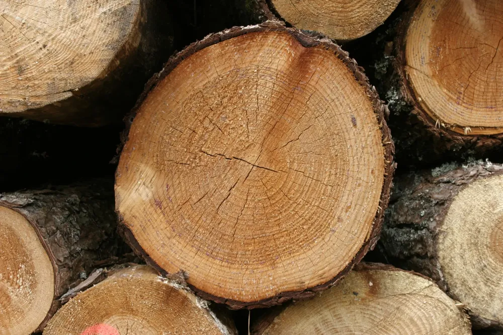Bois compressé près de Janzé